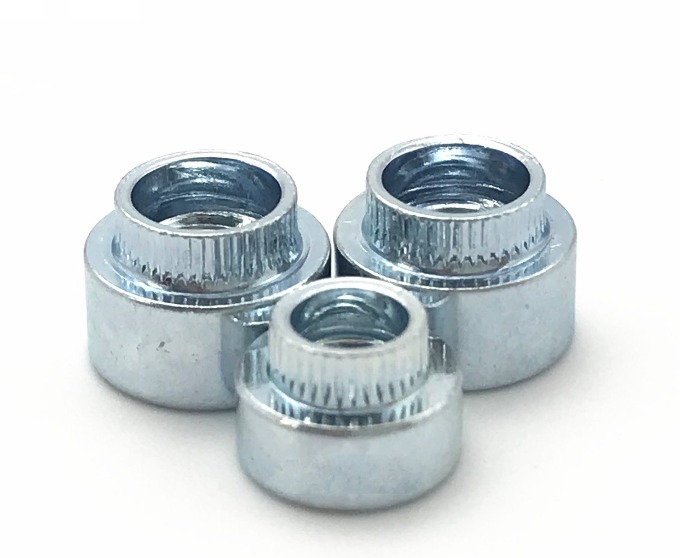 rivet bush